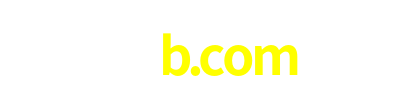 55b.com